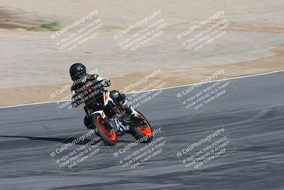 media/Feb-04-2024-SoCal Trackdays (Sun) [[91d6515b1d]]/4-Bowl Backside (11am)/